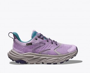 HOKA Anacapa 2 Low GTX Kids' Hiking Shoes Light Purple | FIU940358