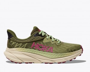 HOKA Challenger 7 Women's Trail Running Shoes Olive Green | DHG036415