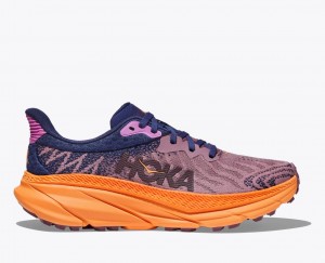 HOKA Challenger 7 Women's Trail Running Shoes Light Purple / Navy | QXS016249